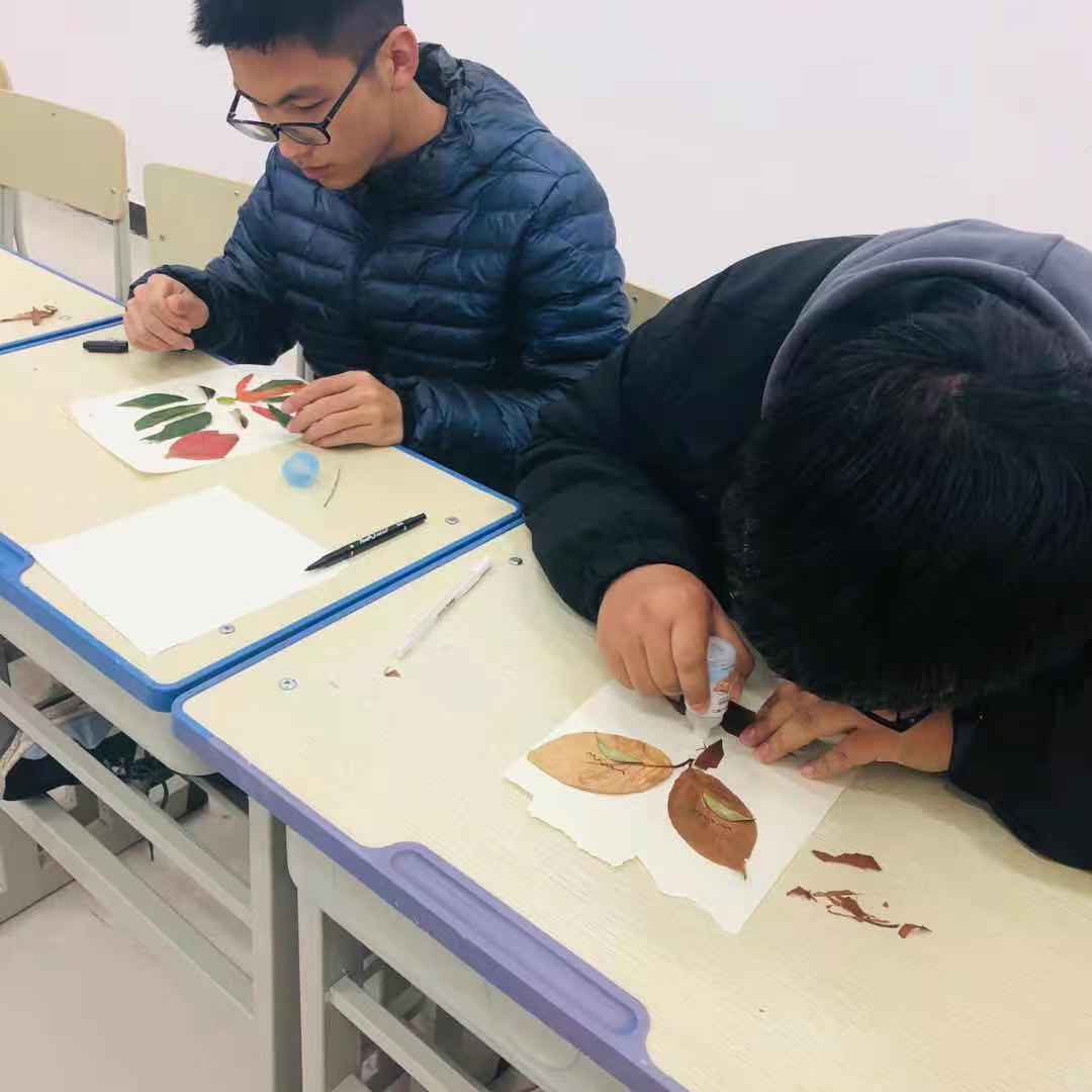 港澳免费资科